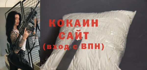 мдпв Вяземский