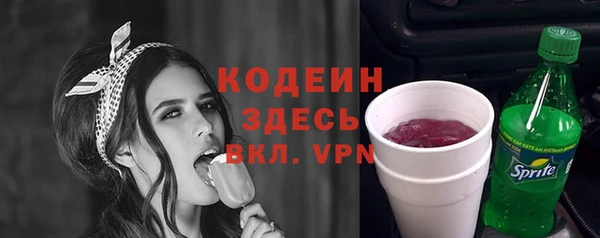 мдпв Вяземский