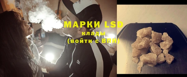 мдпв Вяземский