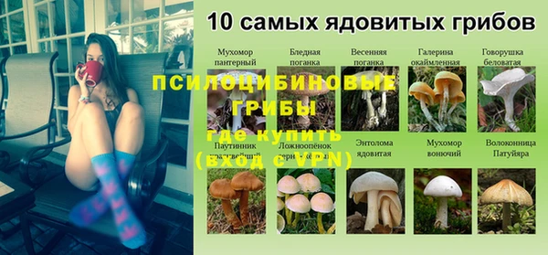 мдпв Вяземский