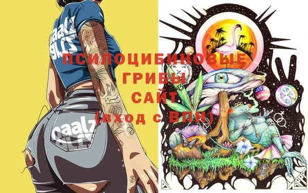 мдпв Вяземский