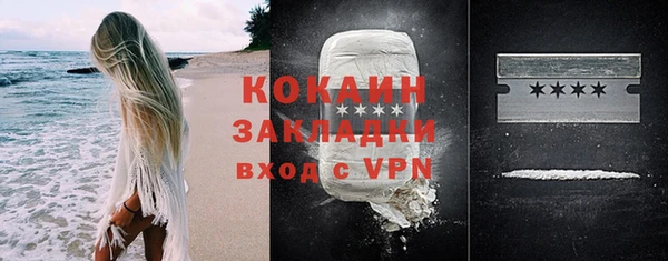 мдпв Вяземский