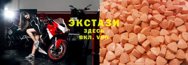 мдпв Вяземский