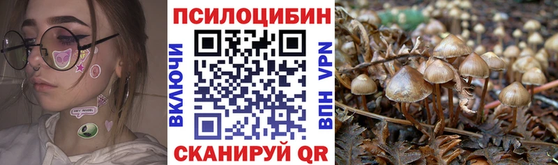 Галлюциногенные грибы Psilocybine cubensis  Купить закладки  Кореновск 